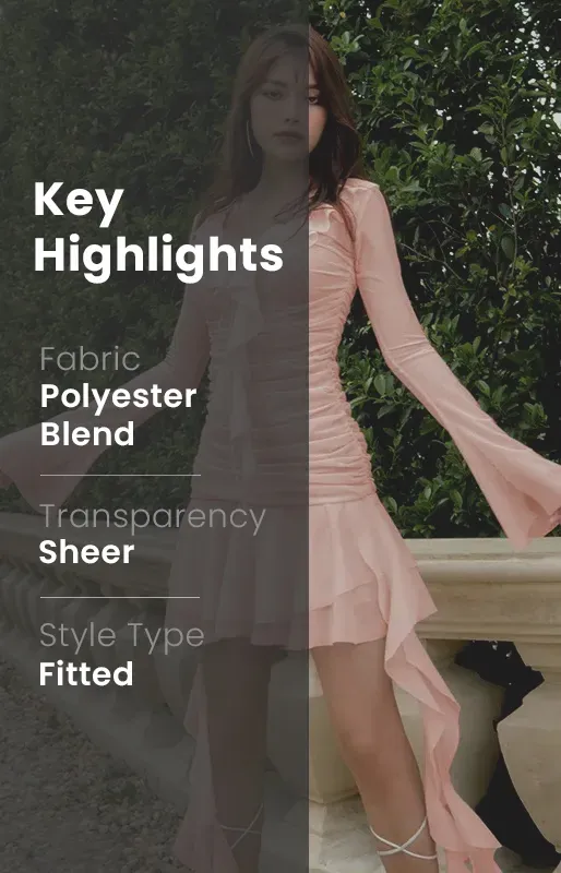 Long Sleeve Sheer Dress W/O Lining - NEWME