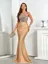 Champagne Sequins Fit And Flare Maxi Dress