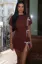 Brown Bodycon Aline Mini Dress