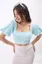 Light Blue Gingham Crop Top