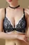 Black Lace Insert Vneck Bra