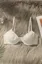 White Solid V-Neck Bra