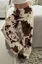 Brown Animal Print Mid Rise Pants