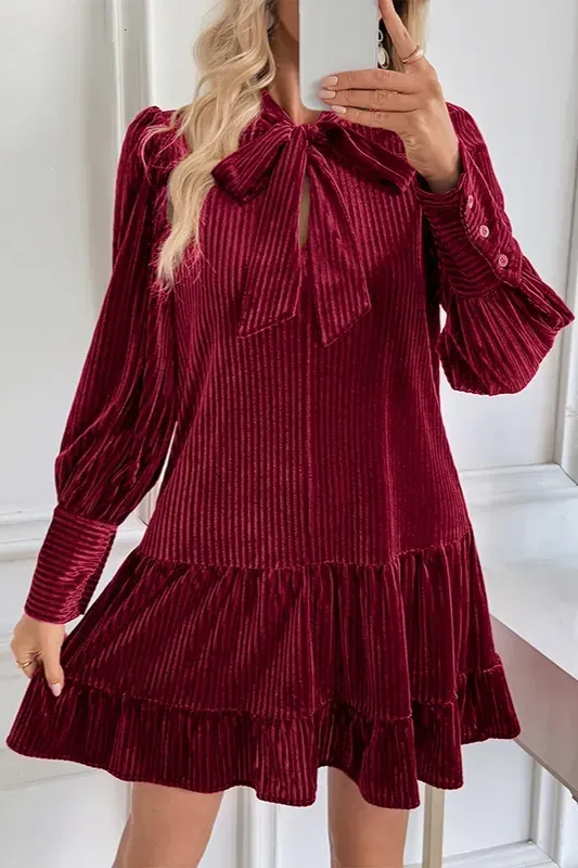 Wine Tie Up Neck Ruffle Mini Dress - Image 1