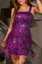 Purple Fringed Sequin Mini Dress