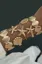 Golden Sea Set Of 5 Cuff Bracelets