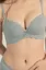 Sage Scallop Neck Bra