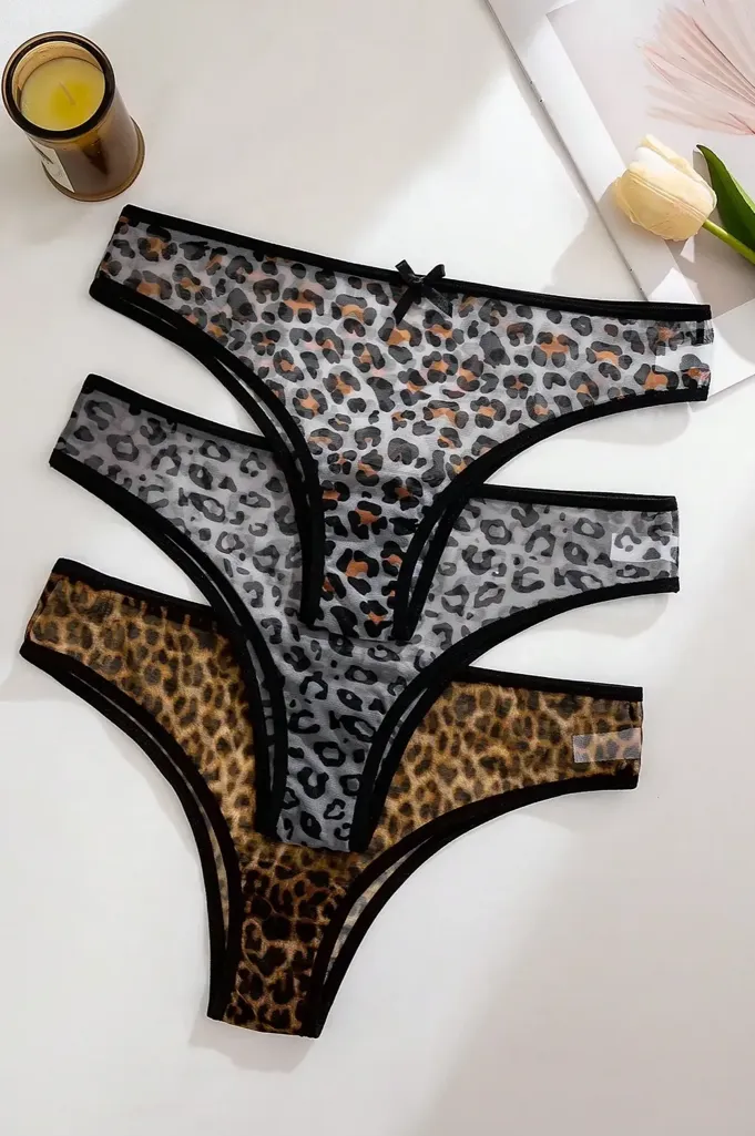 Multicolor Leopard Print Set Of 3 Panties - Image 1