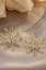 Golden Sunshine Chic Earrings