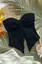 Black Textured Tube Neck Top