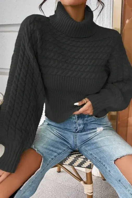 Black Solid Turtle Neck Sweater - Image 1