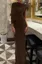 Brown Ruched Draped Maxi Dress