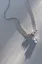Silver Elegance Chic Necklace