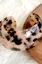 Multi-Color Vibrant Leopard Bracelet