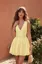 Light Yellow Embroidered V-Neck Mini Dress