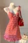 Red Gingham Tie-Up Mini Dress