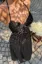 Black Polka Dot Halter Maxi Dress