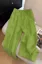 Green Mid-Rise Pleated Trousers