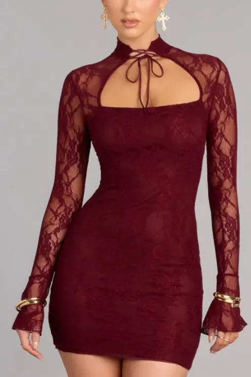 Wine Lace Overlay Mini Dress - Image 1